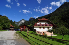 Country house - Turistična kmetija Ambrož Gregorc, Solčava